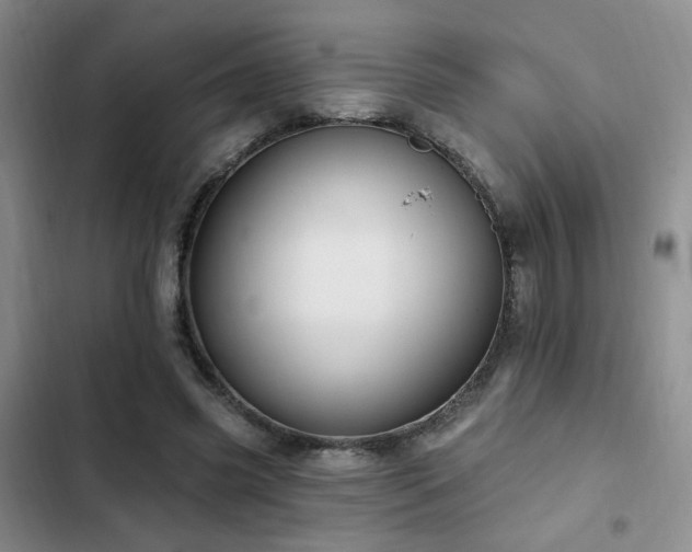 X0000102790541200808181302