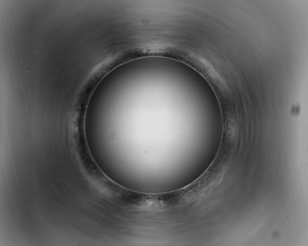 X0000102790543200808181302