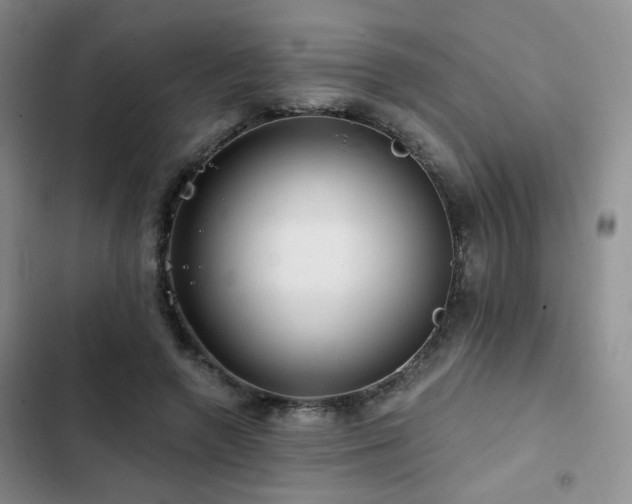 X0000102790546200808181302