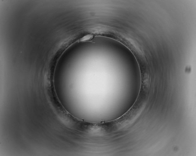X0000102790547200808181302
