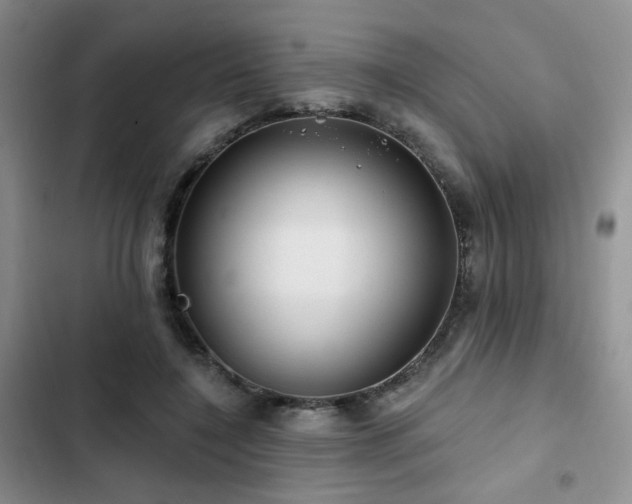 X0000102790548200808181302