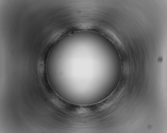X0000102790549200808181302