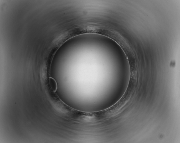 X0000102790552200808181302