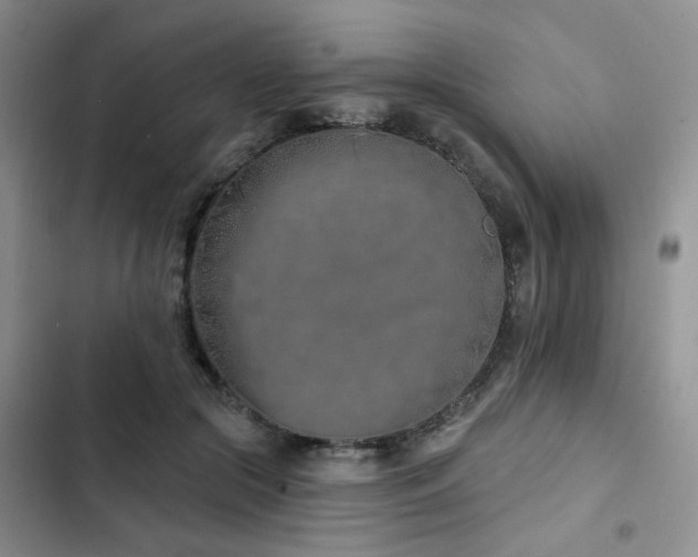 X0000102790553200808181302