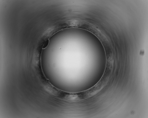 X0000102790554200808181302