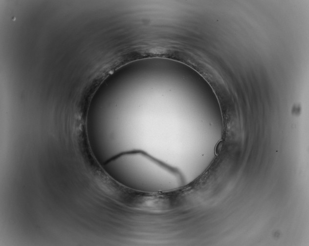 X0000102790555200808181302