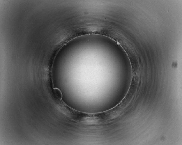 X0000102790556200808181303