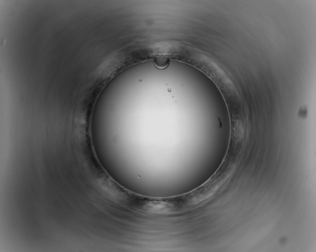 X0000102790557200808181303