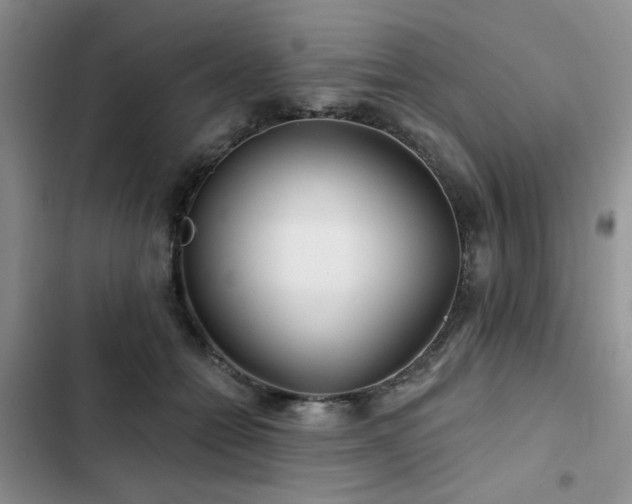 X0000102790558200808181303