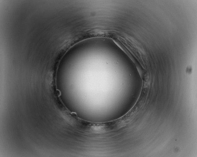 X0000102790560200808181303