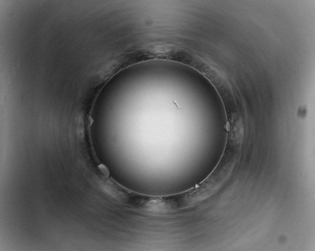 X0000102790562200808181303