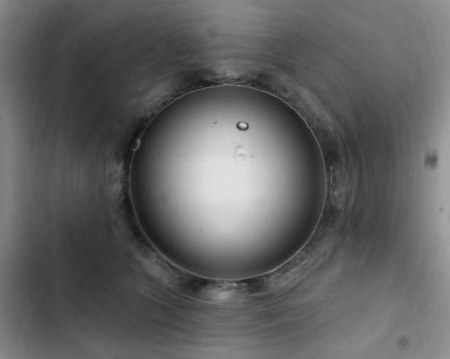 X0000102790563200808181303