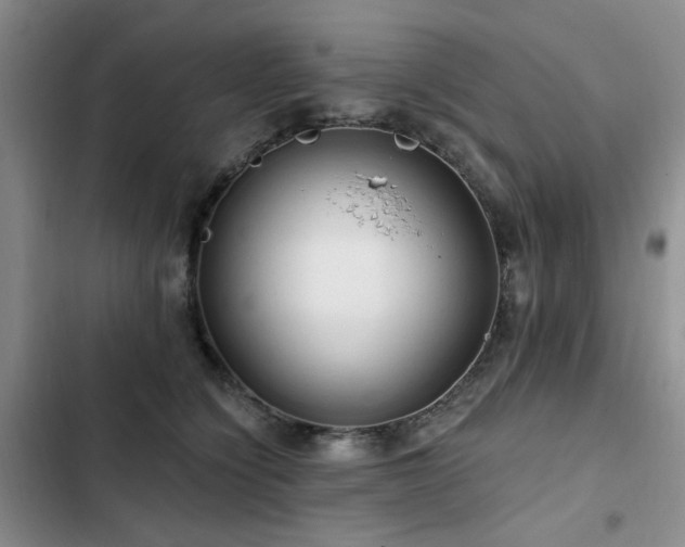 X0000102790564200808181303