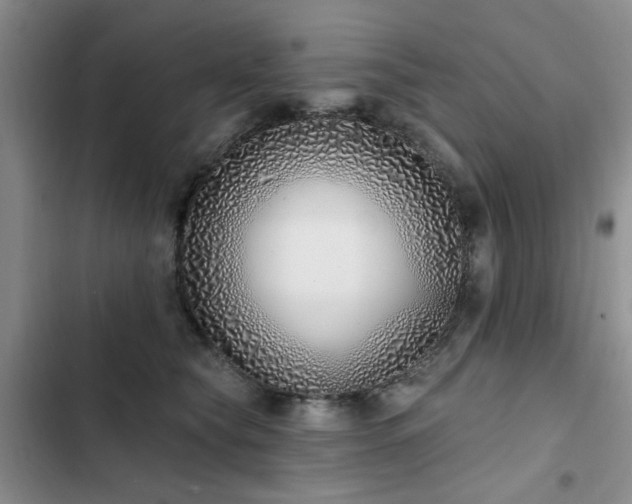 X0000102790565200808181303