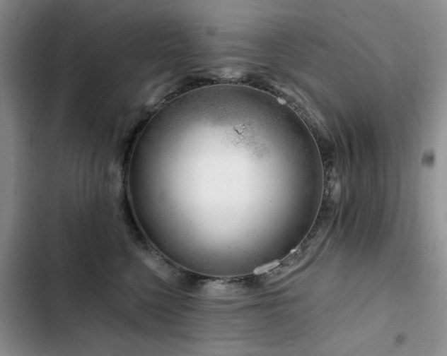 X0000102790568200808181303