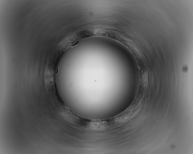 X0000102790571200808181303