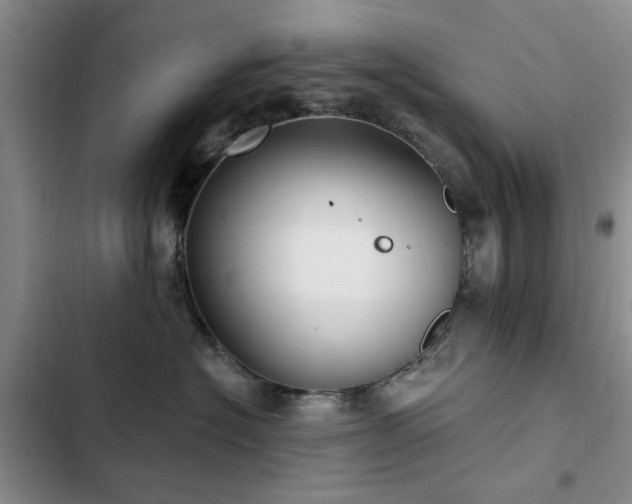 X0000102790574200808181303