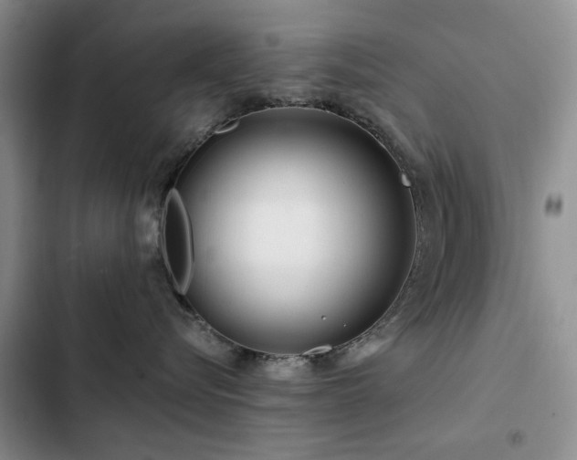 X0000102790576200808181303