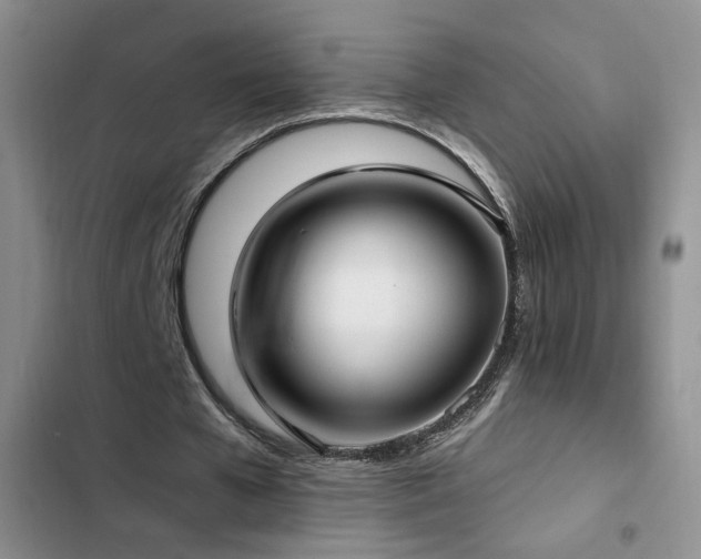 X0000102790577200808181302