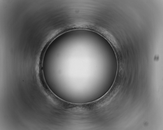 X0000102790578200808181302