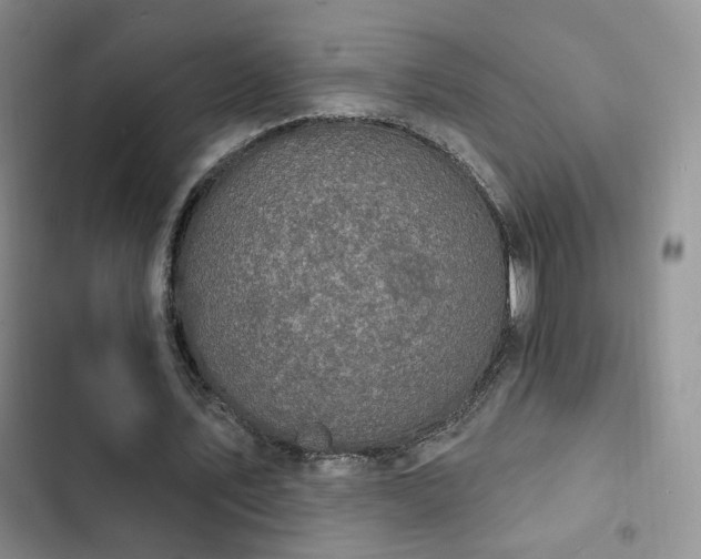 X0000102790579200808181302