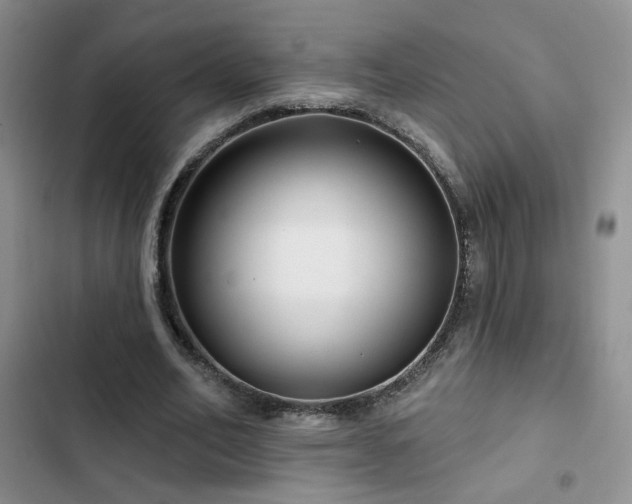 X0000102790582200808181302