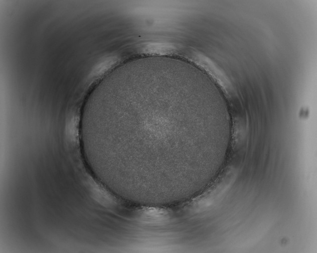 X0000102790585200808181302