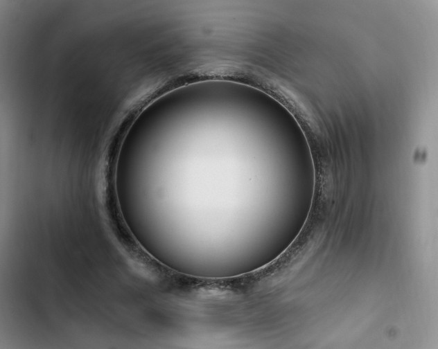 X0000102790586200808181302