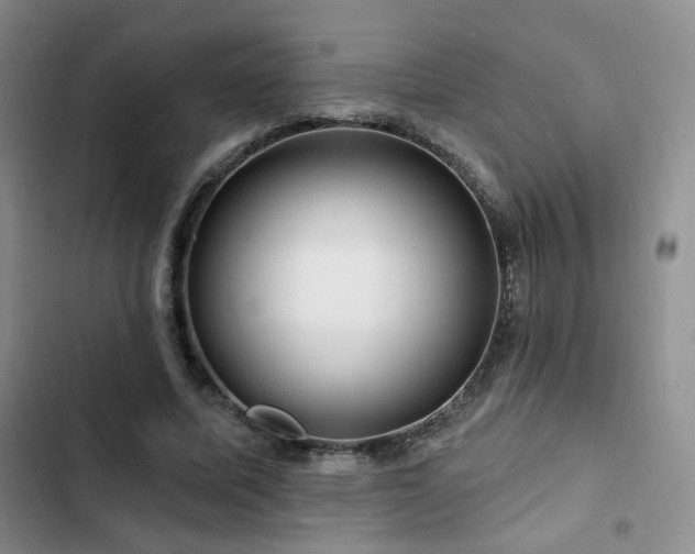 X0000102790587200808181302