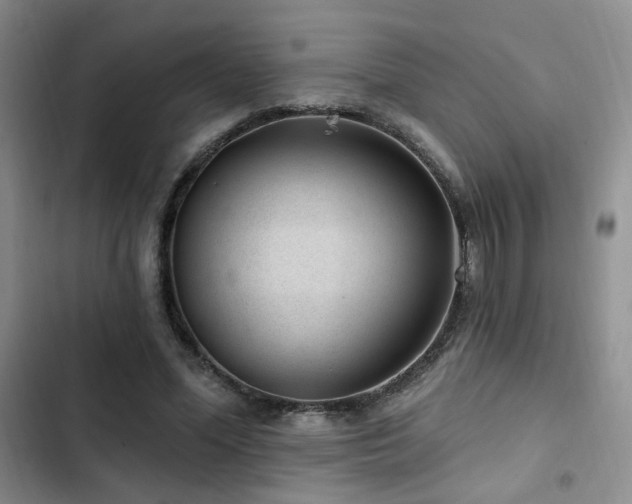 X0000102790588200808181302