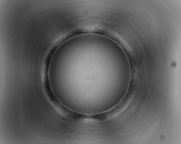 X0000102790590200808181302
