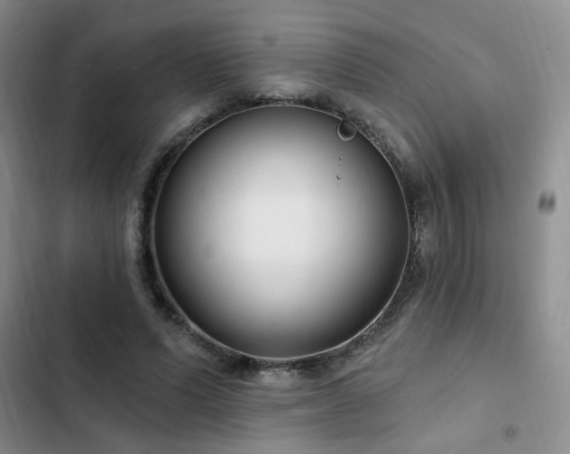 X0000102790591200808181302