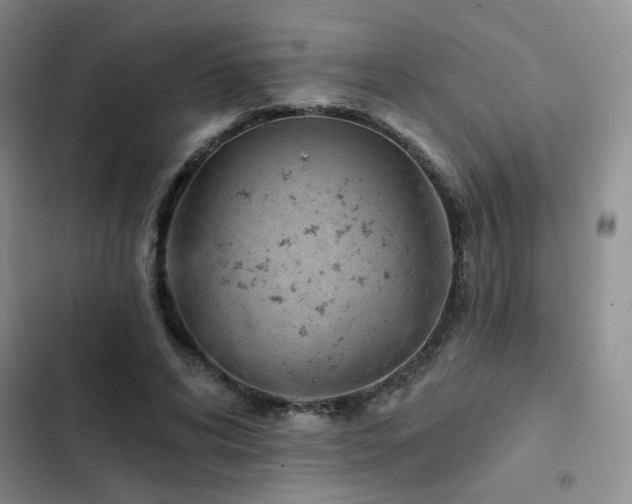 X0000102790592200808181302