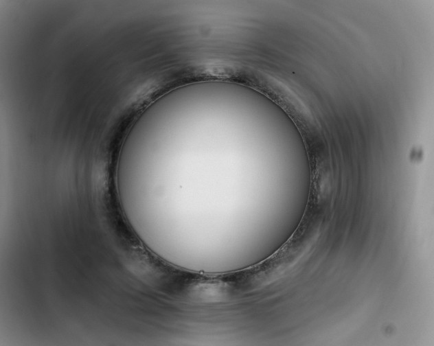 X0000102790595200808181302