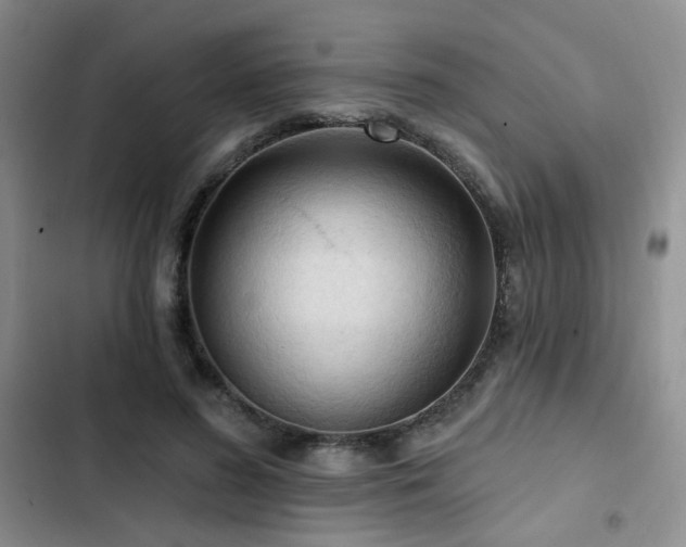 X0000102790596200808181302
