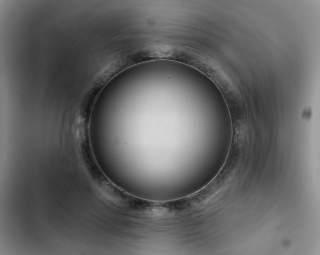 X0000102790598200808181302