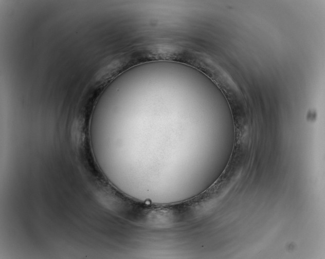 X0000102790599200808181302