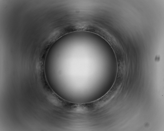 X0000102790601200808181302