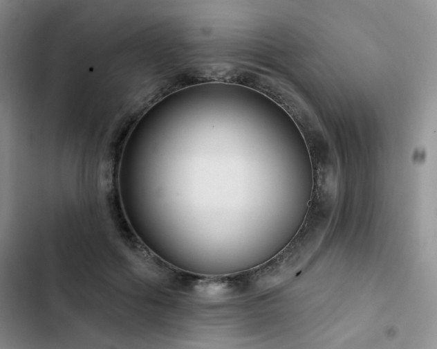 X0000102790602200808181302