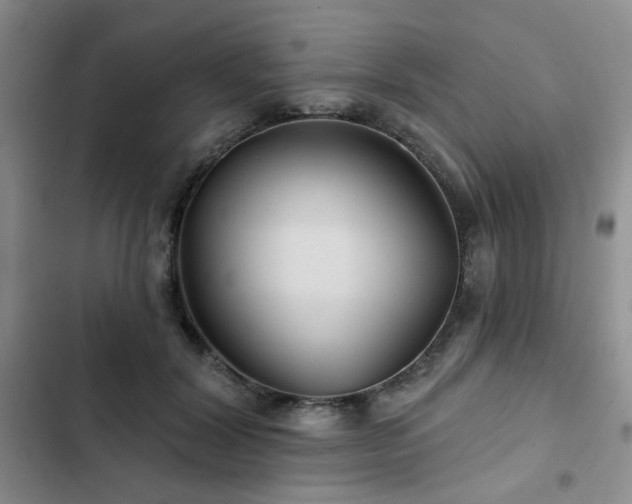 X0000102790604200808181302