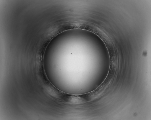 X0000102790605200808181301