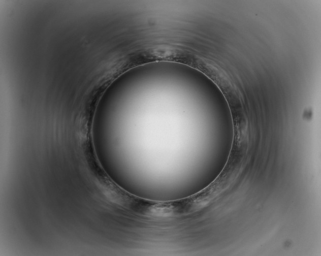X0000102790606200808181301