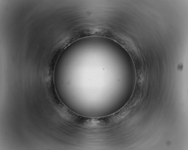 X0000102790607200808181301