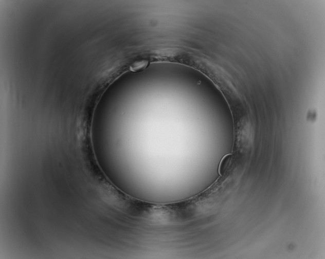 X0000102790608200808181301