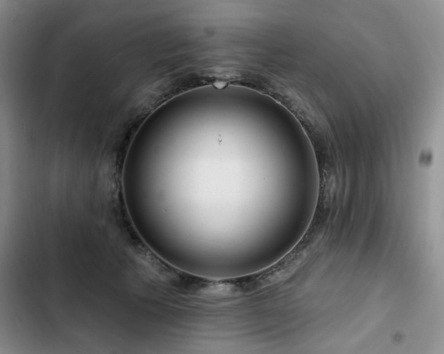 X0000102790609200808181301