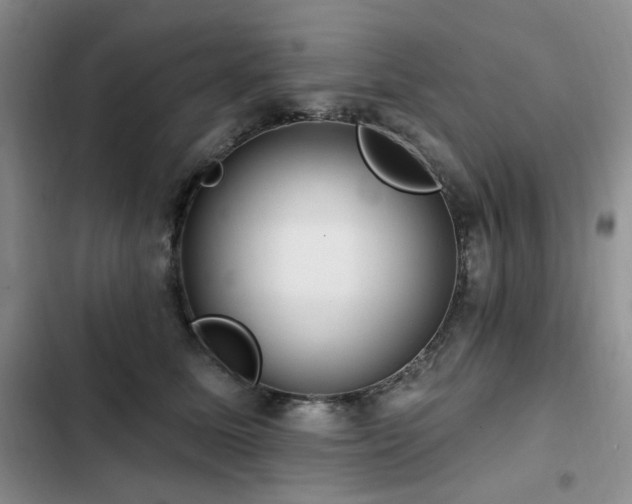 X0000102790611200808181301