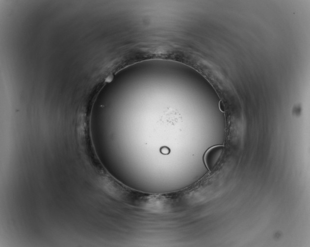 X0000102790612200808181301