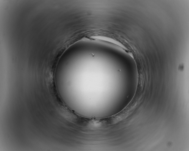 X0000102790613200808181301