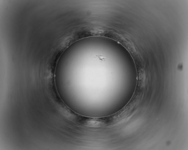 X0000102790614200808181301