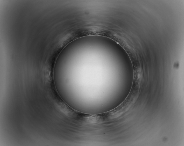 X0000102790615200808181301